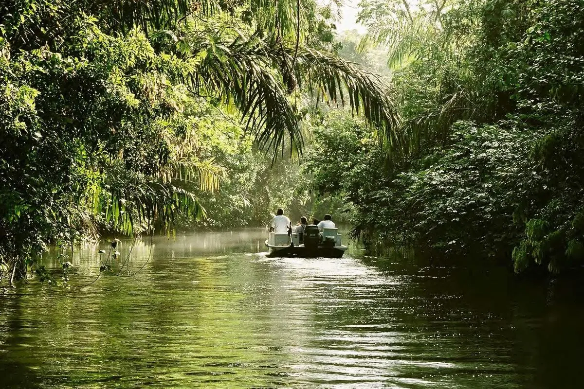 Boat moving through a quiet jungle waterway in Belize