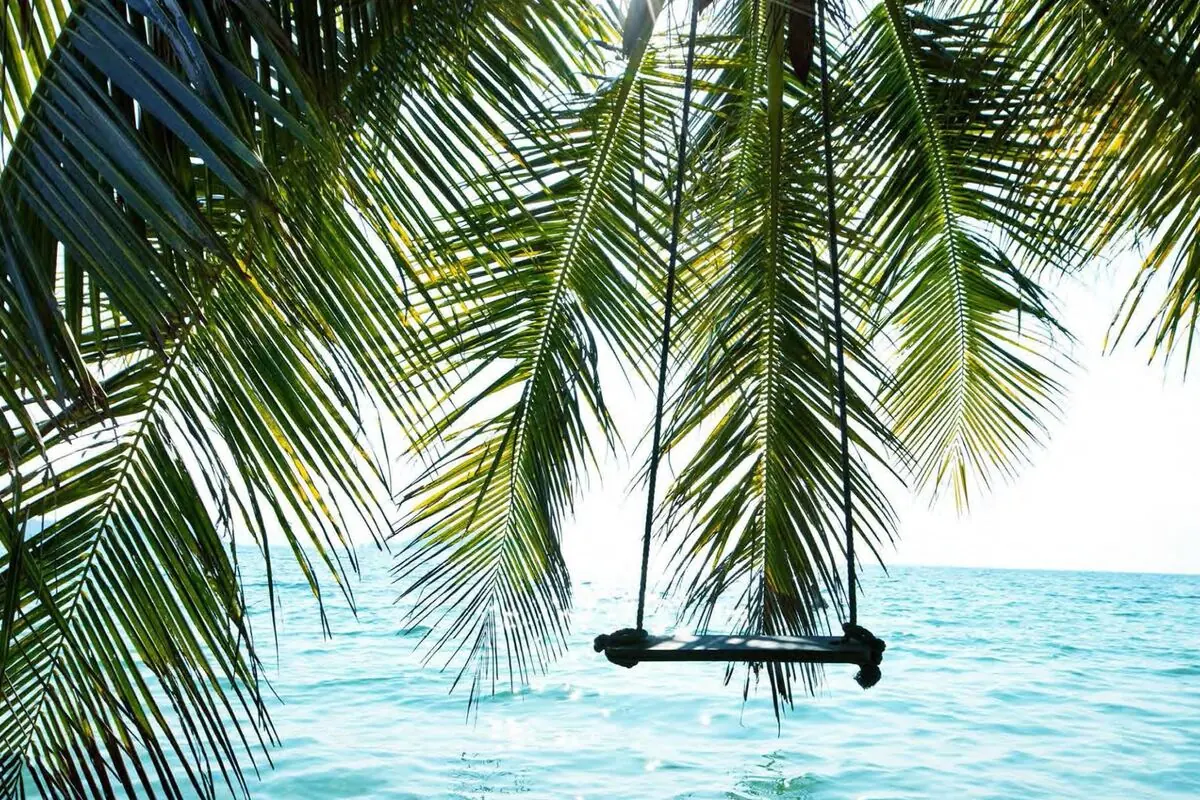 Palm trees and a swing over a turquoise Caribbean shoreline in Belize