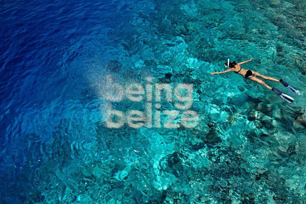 Snorkeller drifting over the Belize Barrier Reef in clear Caribbean water