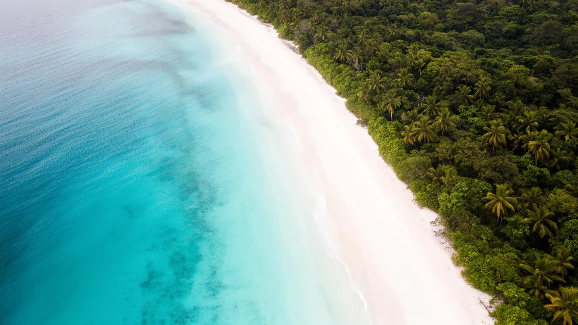 Aerial of Bacalar Beach coastline meeting turquoise Caribbean water