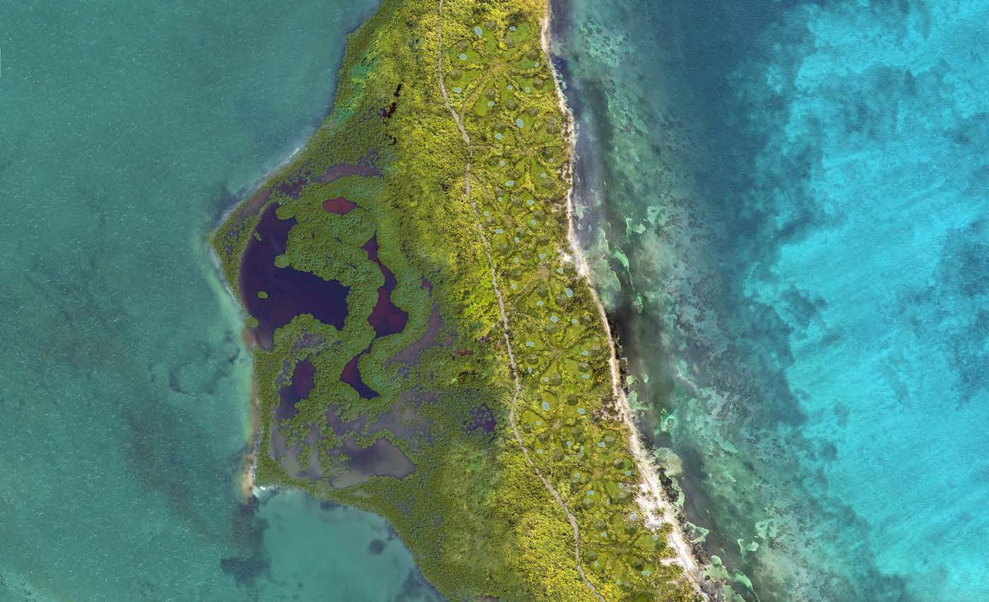 Conceptual master plan: 52 villa positions on Ambergris Caye site